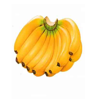 Banana Sagor